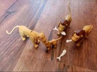 Playmobil Wild Life Löwen Familie mit Fischskeletten Bayern - Bayreuth Vorschau