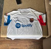 Lewandowski Trikot Barcelona Brandenburg - Cottbus Vorschau