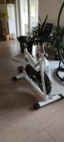 Hometrainer/ Exercise bike Sachsen - Panschwitz-Kuckau Vorschau