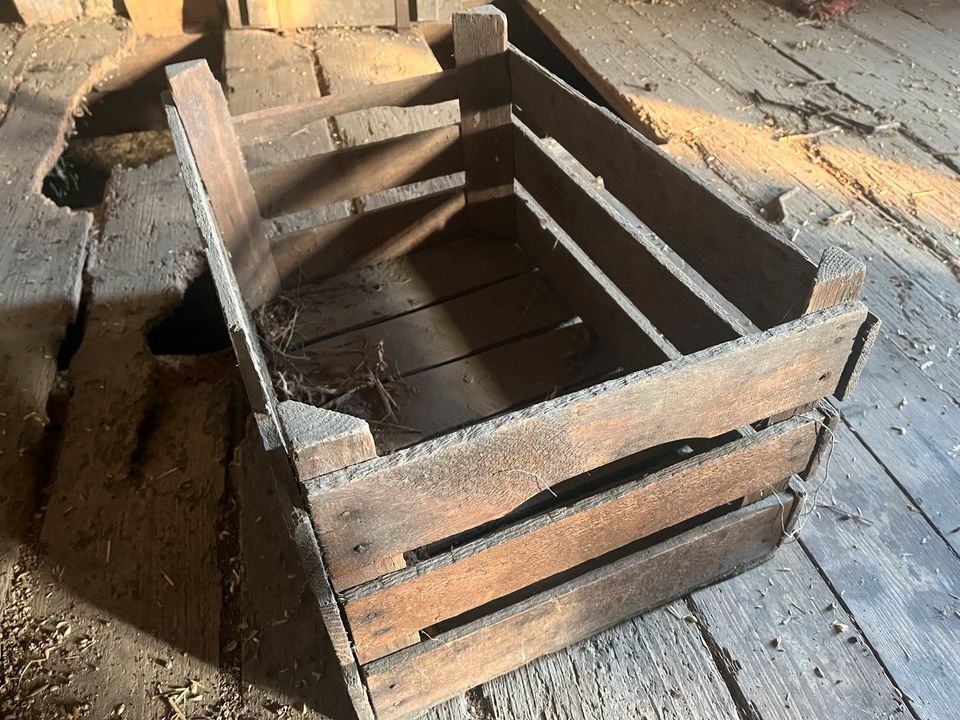 Obstkiste Holzkiste Holz Box in Nünchritz