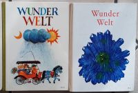 Wunder Welt Lesebuch 1968, Grundschule Bd. 2 & 4 mit Beilage Nordrhein-Westfalen - Castrop-Rauxel Vorschau