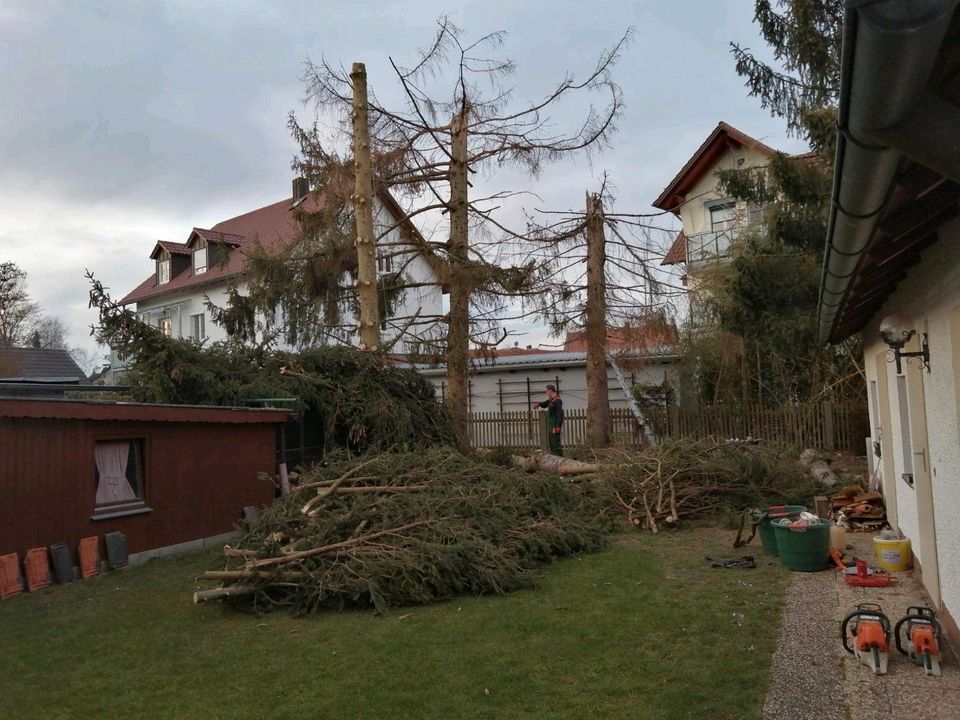 ❗Baumfällung,Hecke/Problem/Baum fällen / entfernen,Sturmschaden in Bruckberg bei Landshut