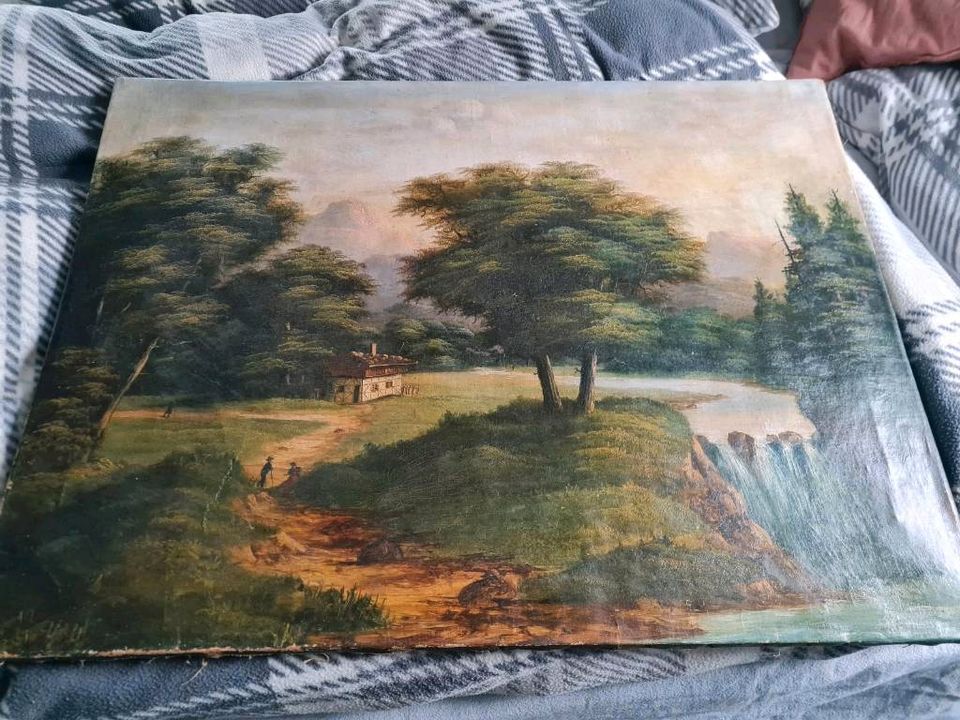 Antikes Oilbild 80x90cm von um 1890 Naturbild in Wismar