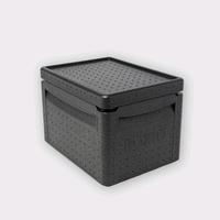 Boxio Cool + 2 Boxio Kühlakkus, passive Kühlbox, neuwertig Niedersachsen - Thomasburg Vorschau
