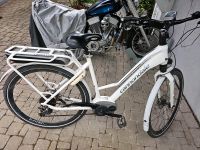 Ebike Cannondale Baden-Württemberg - Vogtsburg Vorschau