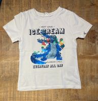 H&M Shirt wendepailetten dino Drache Krokodil 110 116 Nordrhein-Westfalen - Schwerte Vorschau