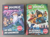 Ninjago Buch-Set 2-teilig Baden-Württemberg - Eschbronn Vorschau