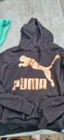 Damen Hoodie schwarz Puma Gr. M Stuttgart - Hedelfingen Vorschau