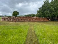 Brennholz , Stammholz , Holz Bayern - Irsee Vorschau