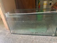 Aquarium 100x50x60cm Sachsen - Heidenau Vorschau