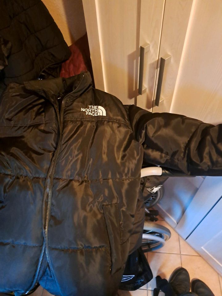 The north face Winter jacke in Cottbus