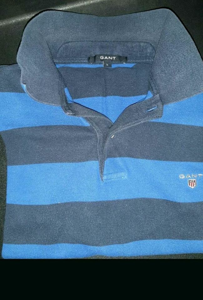 GANT Poloshirt Gr. L blaue Blockstreifen in Volkertshausen