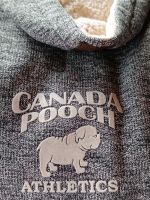 Canada Pooch Hundemantel Wintermantel Sachsen - Zwenkau Vorschau