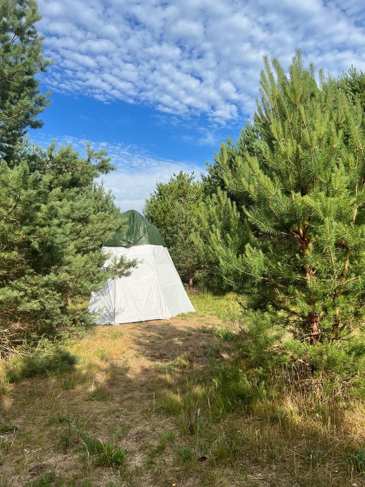 Naturnahes Grundstück auf dem Kap Mersrags in Lettland in Berlin