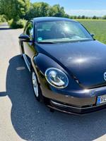 Volkswagen Beetle 1.4 TSI Leder Panorama Bi-Xenon SHZ Tempo Nordrhein-Westfalen - Marl Vorschau