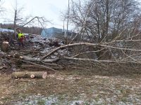 Baumfällungen Häckseln Sachsen - Rodewisch Vorschau