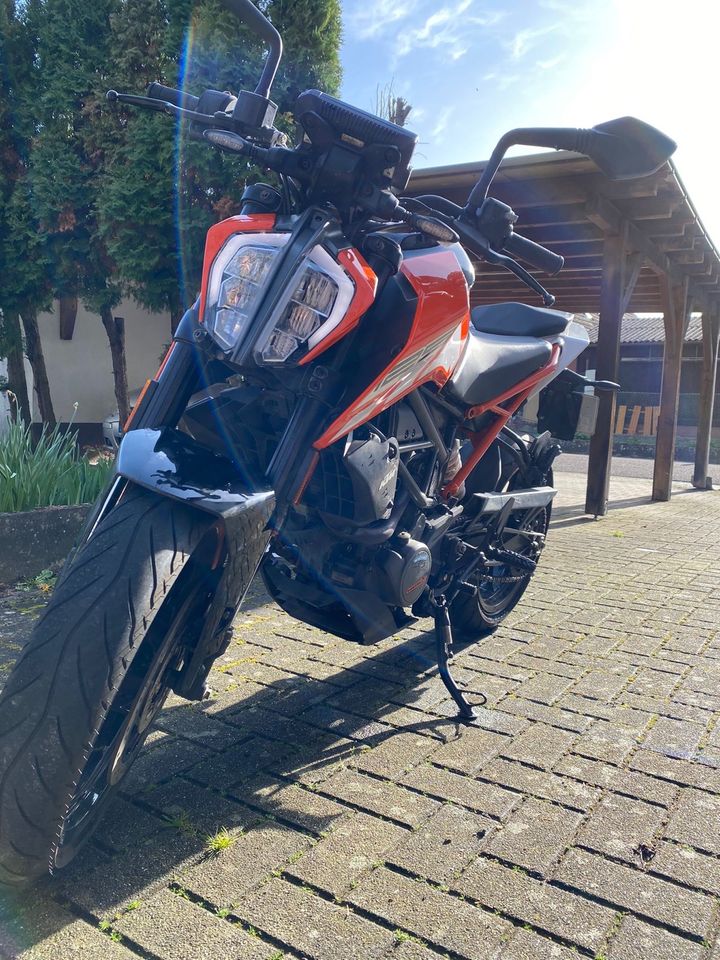 KTM DUKE 125 in Neuburg am Rhein