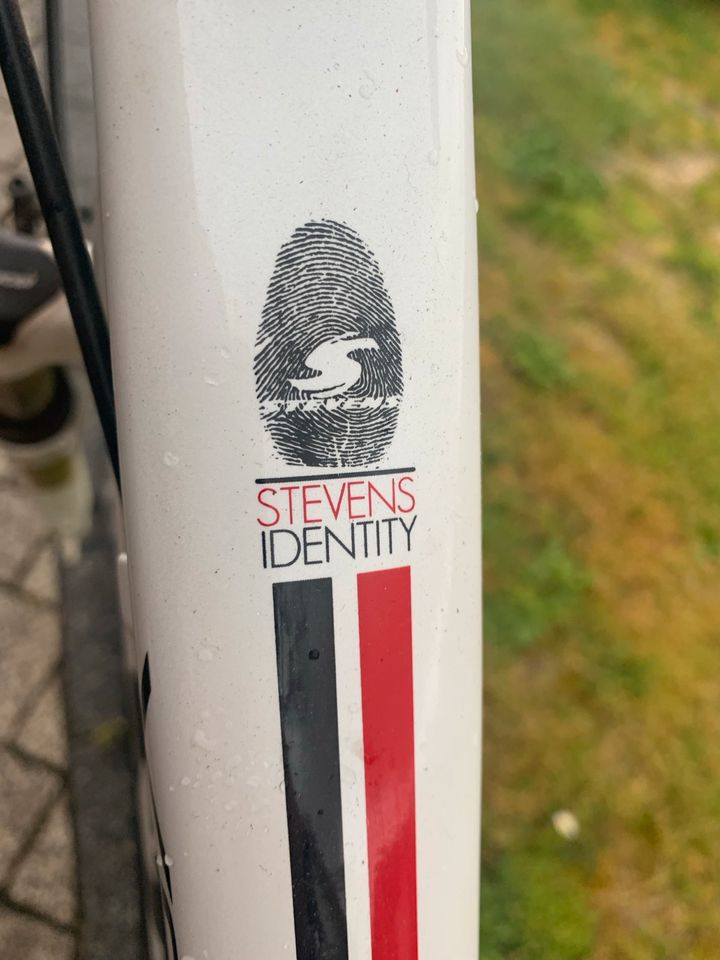 Fahrrad Damenrad Stevens in Saarwellingen