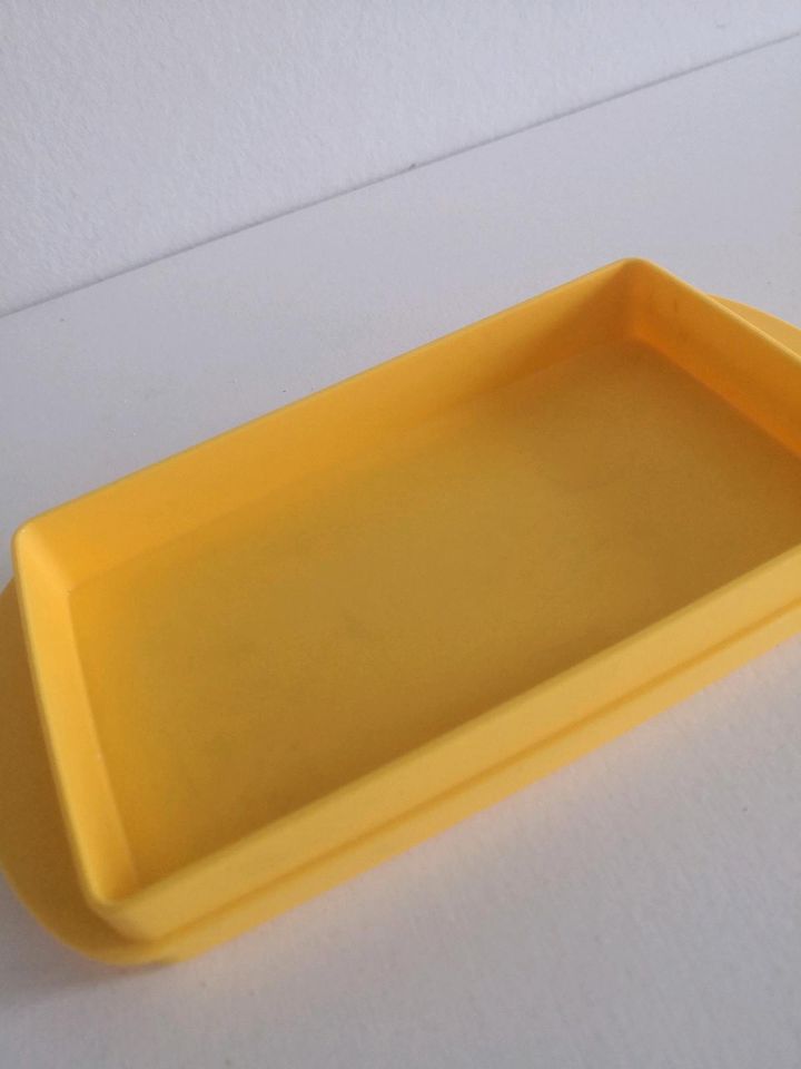 Tupperware Junge Welle Butterdose in Weyhe