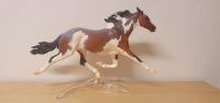 Breyer Premier Club Constantia Bayern - Moosinning Vorschau