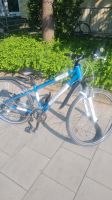 Fahrrad 26 Zoll München - Untergiesing-Harlaching Vorschau