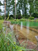 Schwimmteichreinigung / Schwimmteichpflege Niedersachsen - Oyten Vorschau