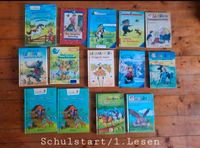 Diverse Bücher für Kinder: Schulstart/Erstes Lesen und Wissen Schleswig-Holstein - Norderstapel Vorschau