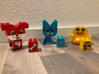 Lego Duplo 10858 Meine ersten Tiere Hannover - Vahrenwald-List Vorschau