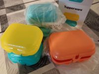 Tupperware Eco Twin Brotboxen Bayern - Hof (Saale) Vorschau