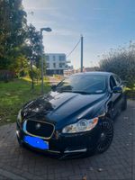 Jaguar xf luxury Scheckheftgepflegt Rheinland-Pfalz - Ludwigshafen Vorschau