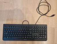 Tastatur Cherry KC 1000 Hannover - Südstadt-Bult Vorschau