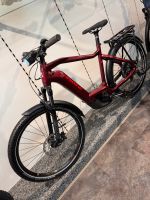 Haibike TREKKING 11 HIGH 2024 mit ERST 2KM!750WH!E-Bike UVP:4799€ Baden-Württemberg - Tettnang Vorschau