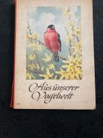 Aus unserer Vogelwelt Altes Kinderbuch/ Lernbuch Dresden - Neustadt Vorschau