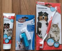 Hunde Zahnpflege Set Zahnbürste zahnpasta Sachsen - Zittau Vorschau