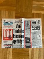 Original Bild Zeitung vom 22.06.1971 Potsdam - Babelsberg Nord Vorschau