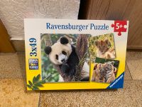 Ravensburger Puzzle neu Bayern - Ansbach Vorschau