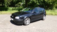 VW Golf 4 1.6 16V Rabbit Highline EZ 2003 Tüv Neu 5/26 Leder top Hessen - Friedberg (Hessen) Vorschau