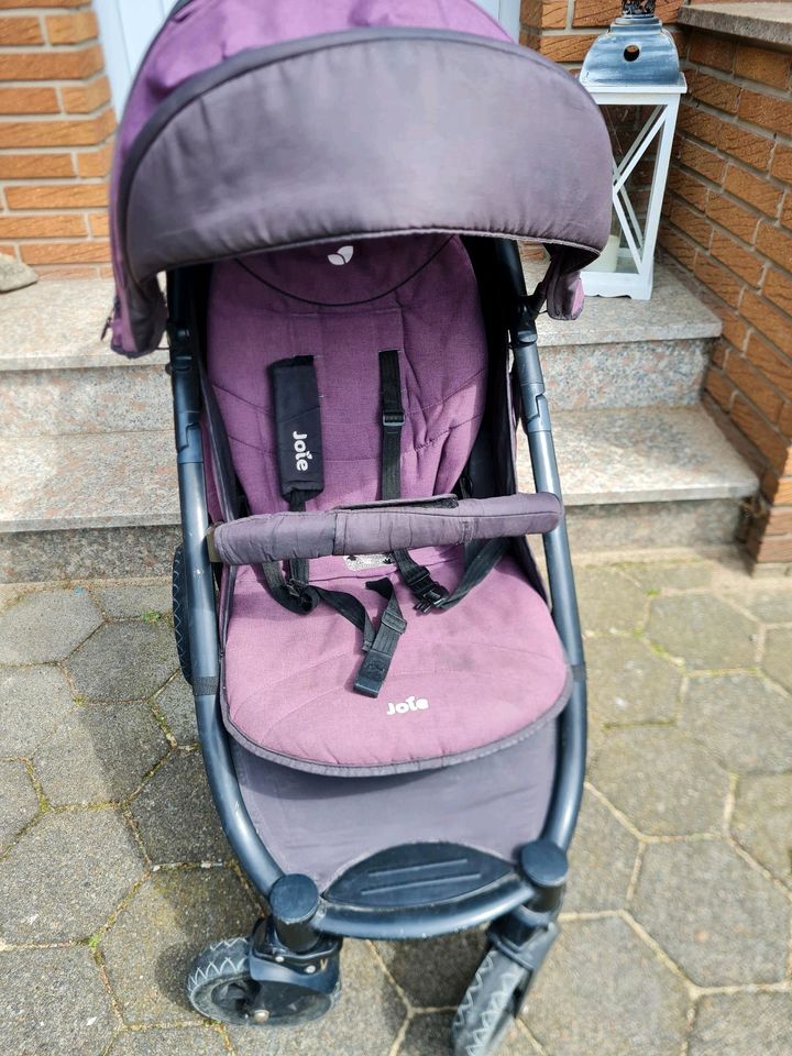 Joie Buggy lila Luftreifen in Schloß Holte-Stukenbrock