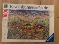 2 x Puzzle von Ravensburg je 1000 Teile Hessen - Wiesbaden Vorschau