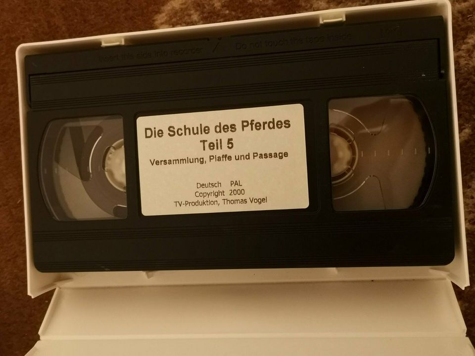 VHS Die Schule des Pferdes 1 2 3 4 5 Ausbildung Reiten Zellinger in Diemelsee