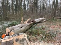 Baumfällungen / Heckenschnitt / Gehölzpflege / Gartenpflege Nordrhein-Westfalen - Erkelenz Vorschau