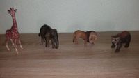 Schleich Zootiere Sachsen - Bobritzsch-Hilbersdorf Vorschau