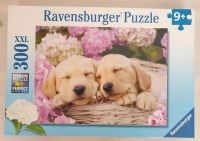 Puzzle von Ravensburger Süße Hunde im Körbchen Sachsen-Anhalt - Zerbst (Anhalt) Vorschau