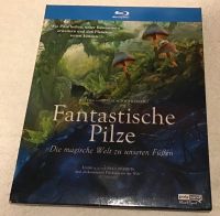 Fantastische pilze blue ray Nordrhein-Westfalen - Bocholt Vorschau