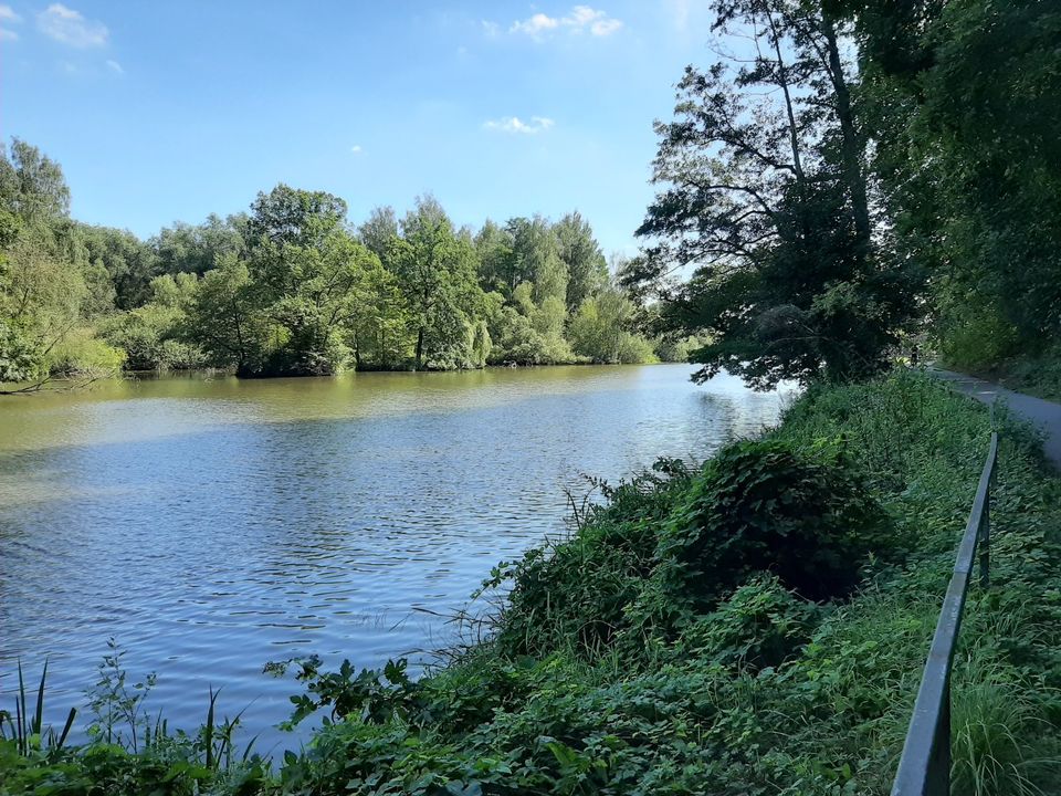 RESERVIERT! Sonne und Ruhe am Neißeweg! Einbauküche! in Görlitz