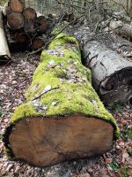 Holz / Eiche Stamm ca. 8m Baden-Württemberg - Stühlingen Vorschau