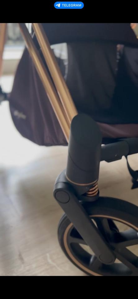 Kinderwagen Cybex Platinum Priam Roségold One Love von Karolina K in Bremen