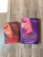 Fantasy Buchreihe „Evernight“ Teil 1+2 Claudia Gray Sachsen-Anhalt - Merseburg Vorschau