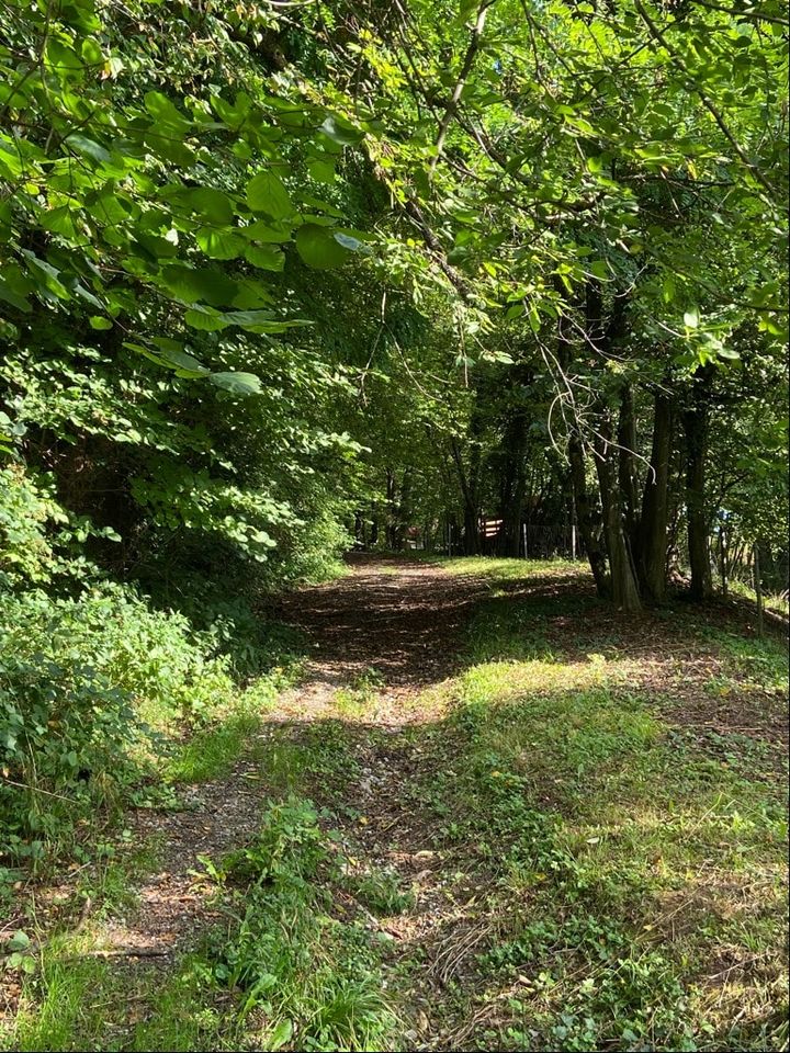 Bauplätze in Gnadental mit Panoramablick in Michelfeld