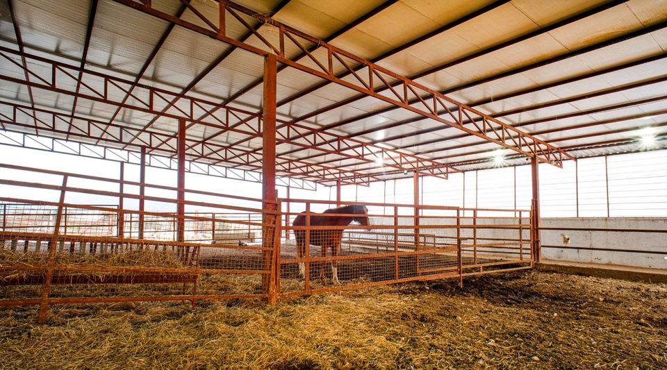 Bauernhof Ihr Träume in Yatagan,  Türkei zu verkaufen in Rodalben